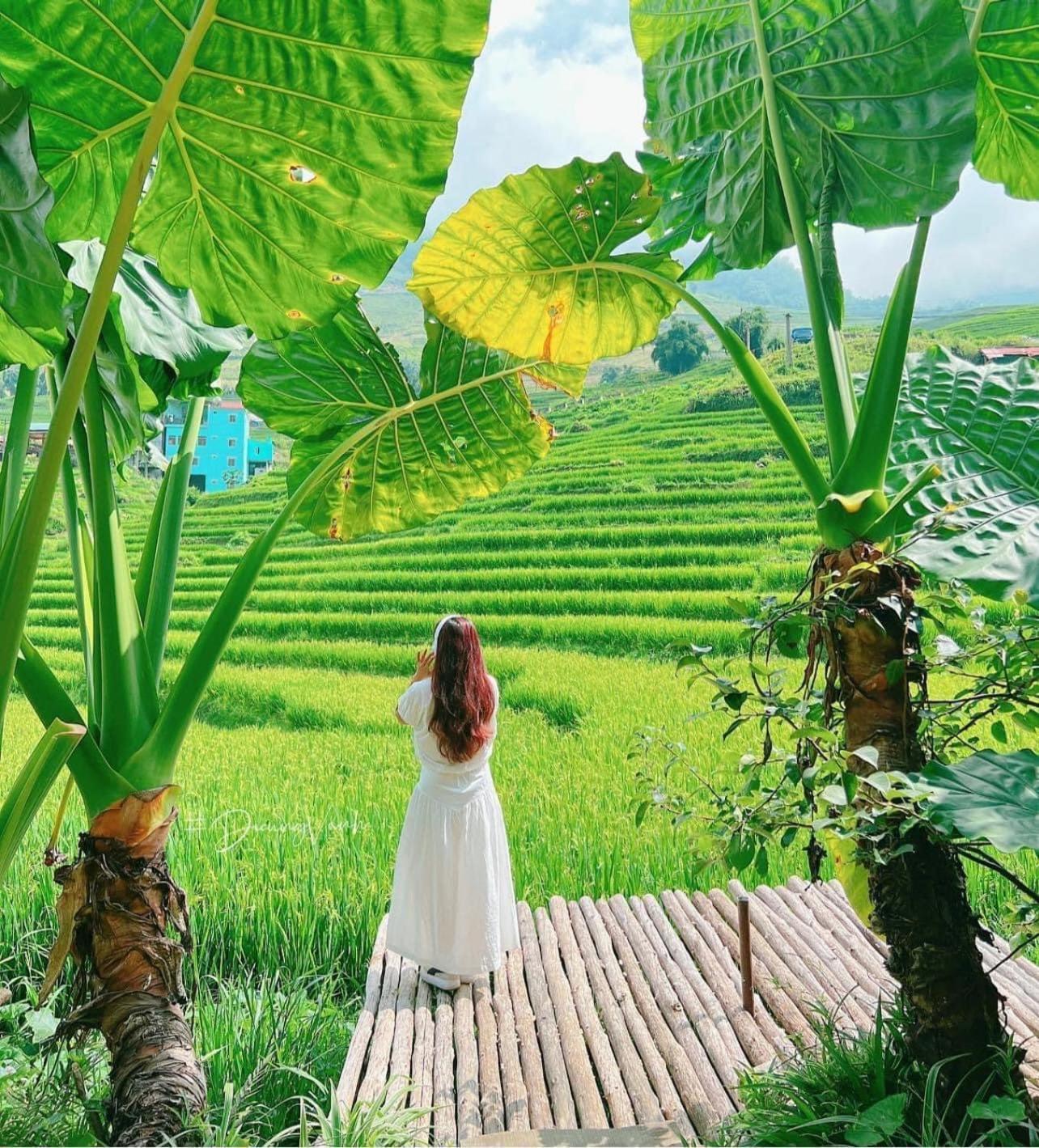Boutique En Hotel Sapa Luaran gambar